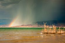 rainbow in the rain.jpg